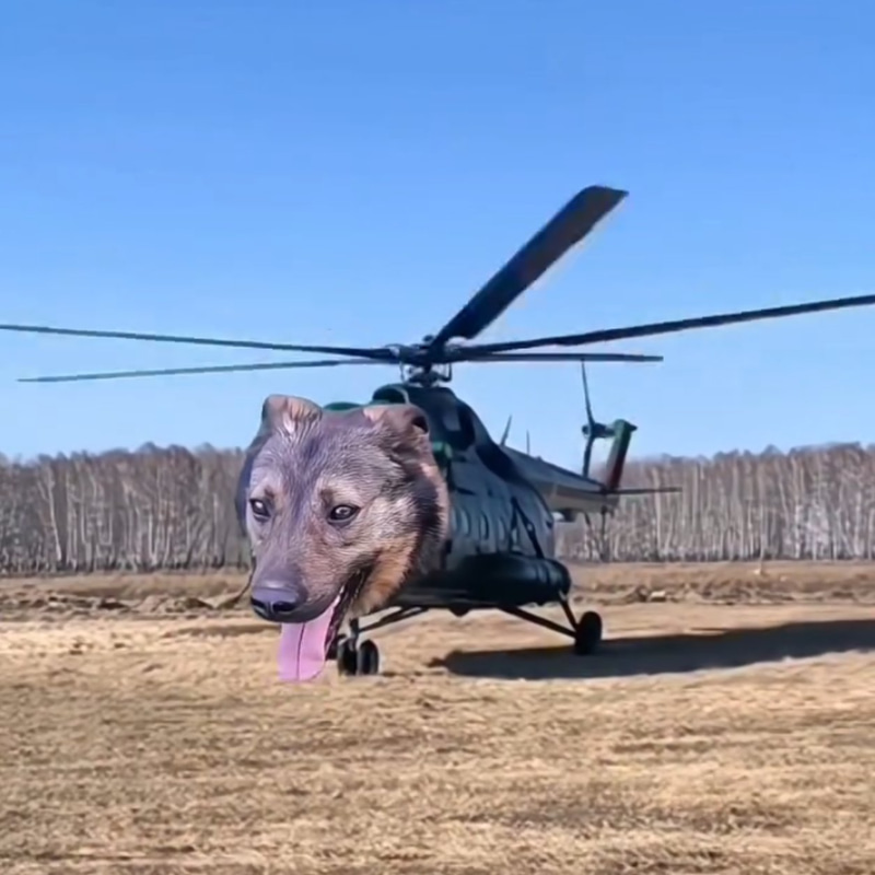 dogocopter