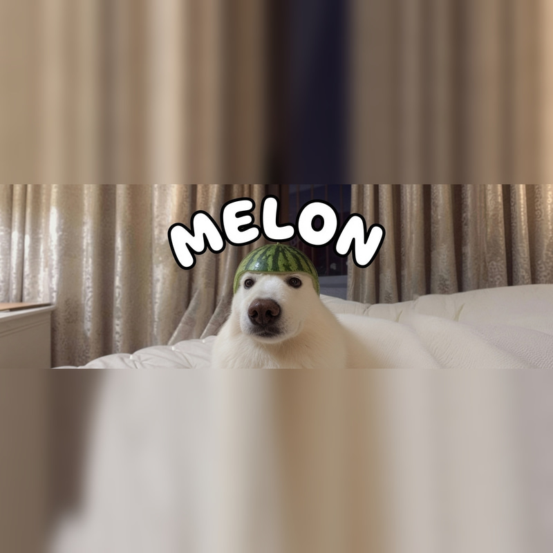 MELON