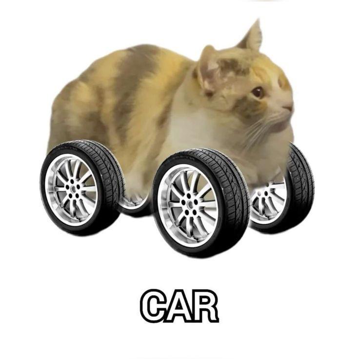 CAR logo