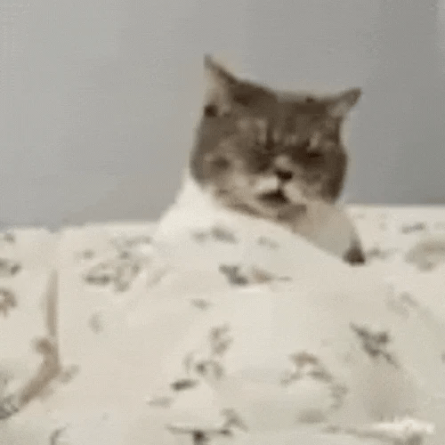 Jcat