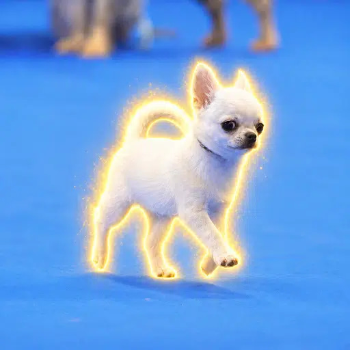 Ori-cina