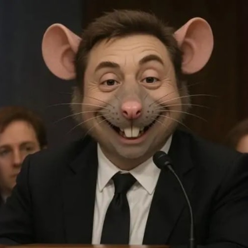 MUSKRAT