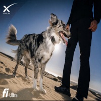 Space Dog logo
