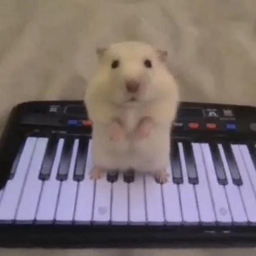 KEYSTER