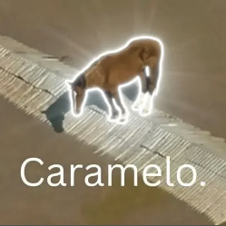 Caramelo