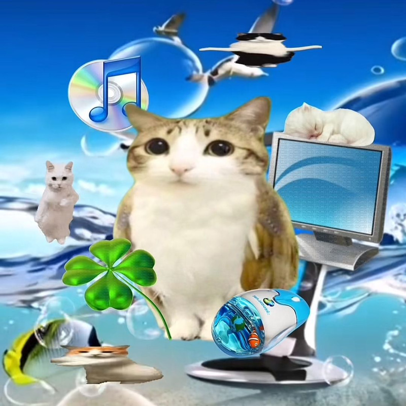 Meowl logo