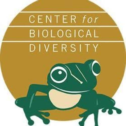 CBD logo