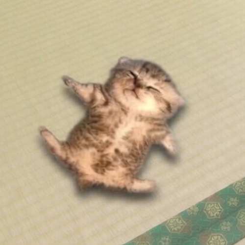 relax