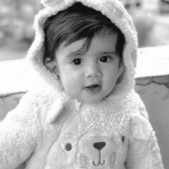 Zaid