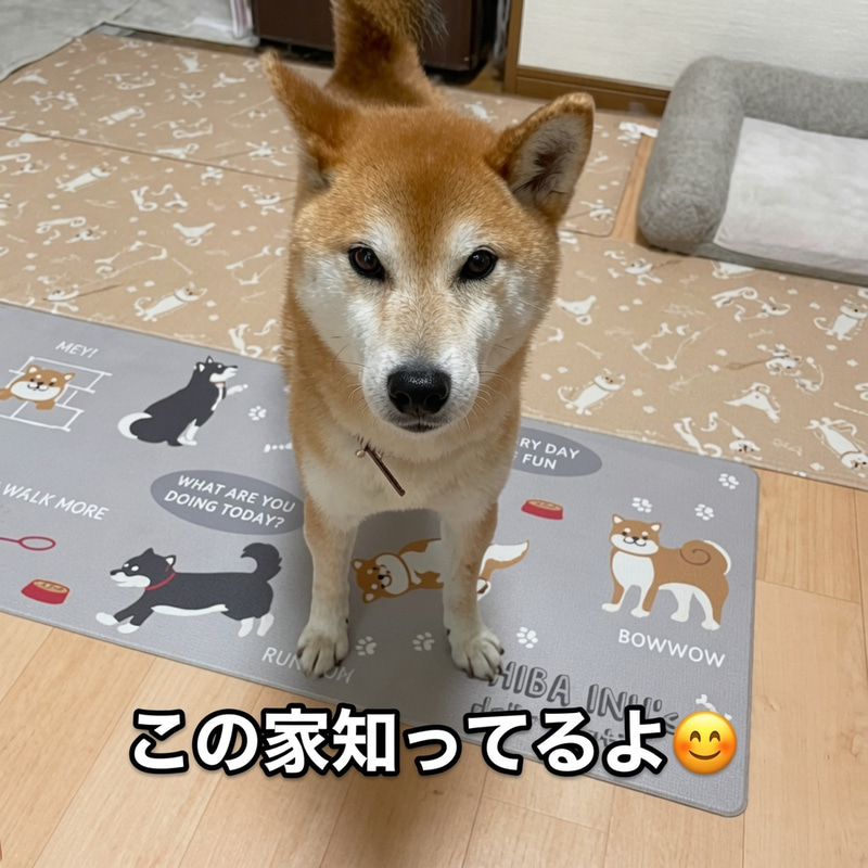 KOMUGI logo