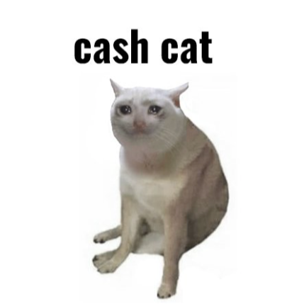 CASHCAT
