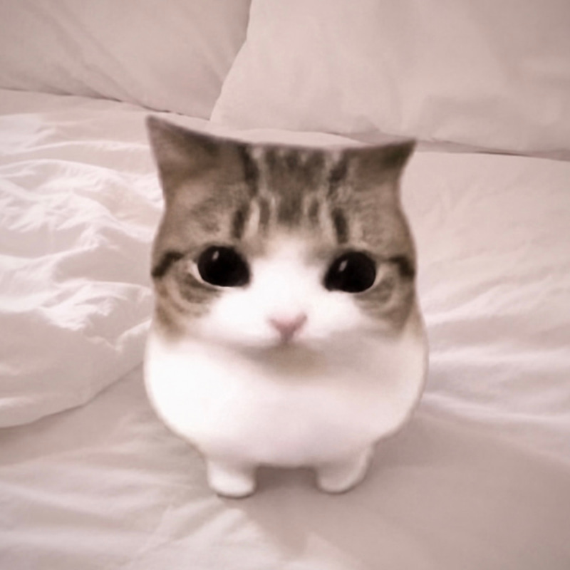 Meowpin logo