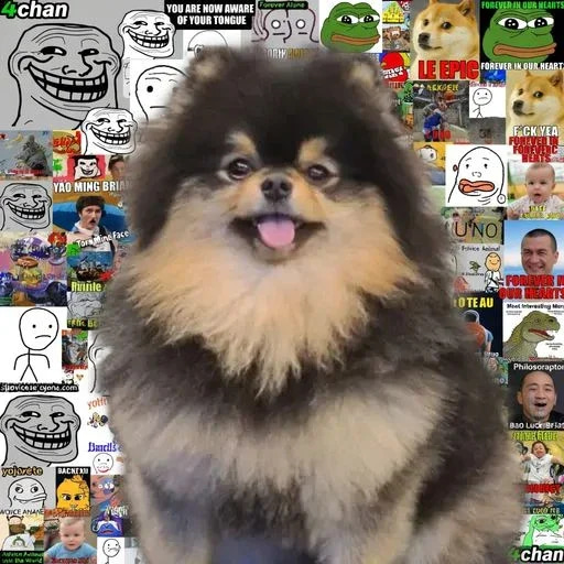Yeontan