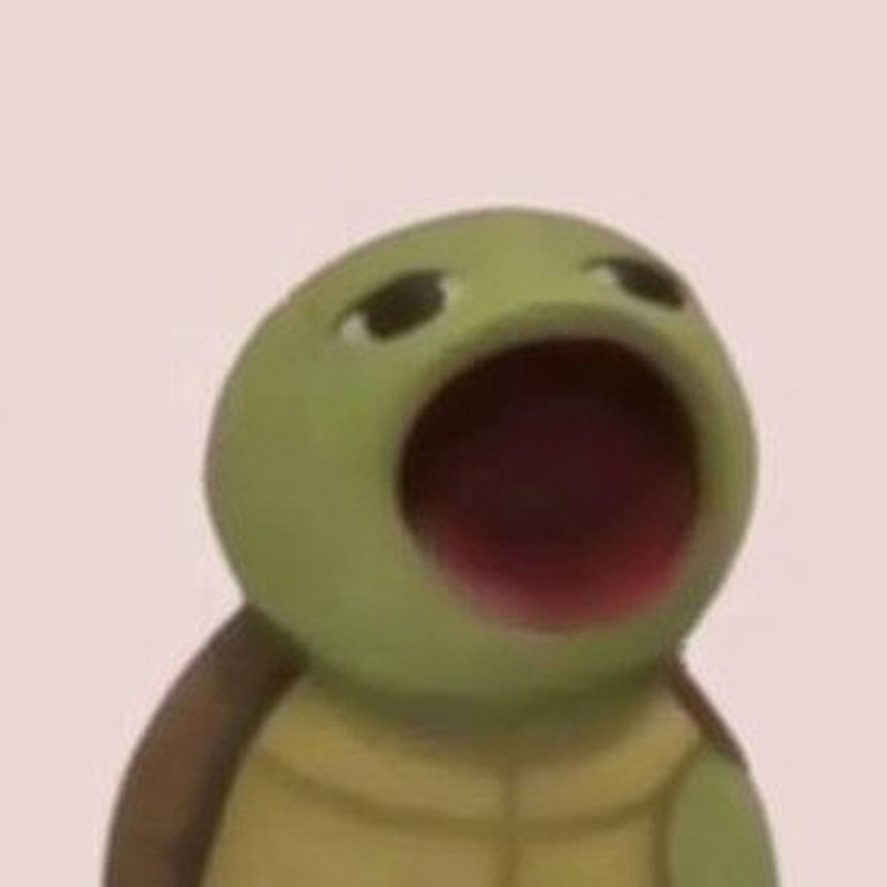 Popturt 