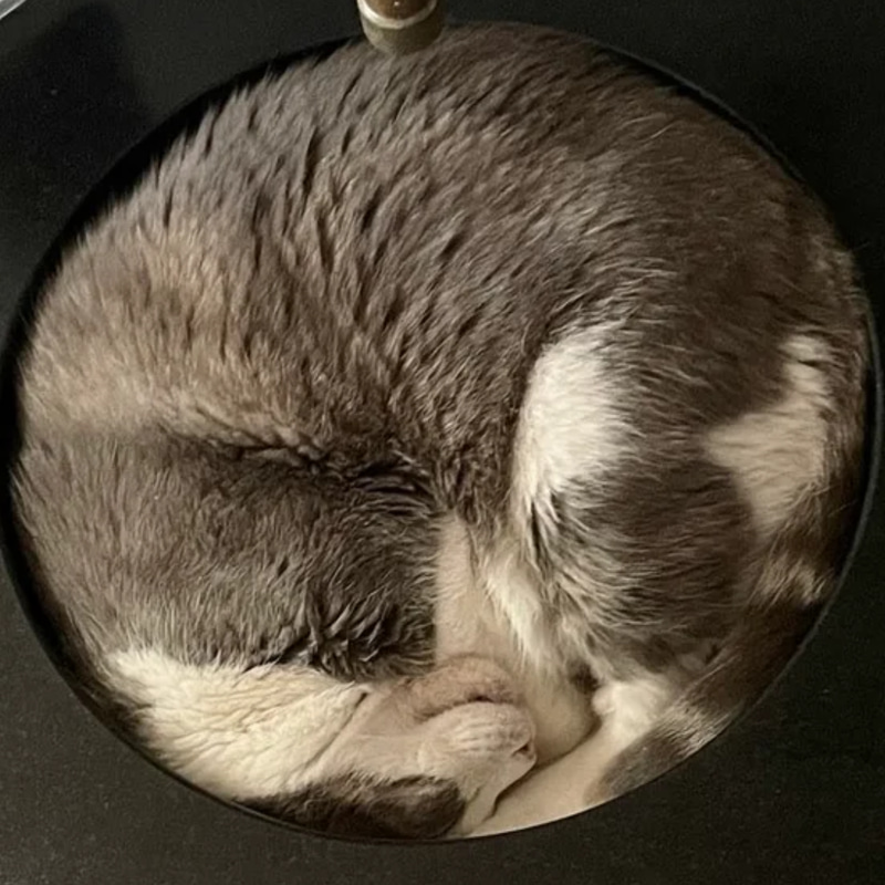LIQUITTY