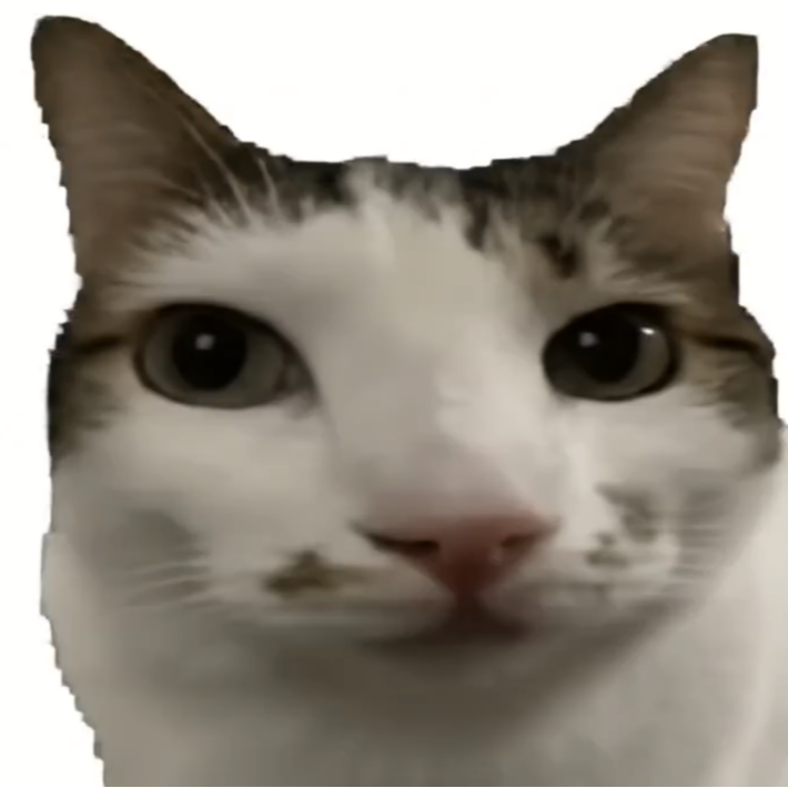 nomcat logo