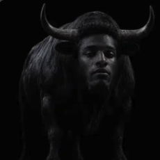 Nigger logo
