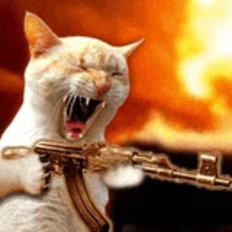 gatcat