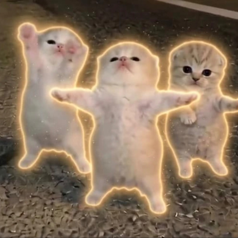 Dancingcats logo