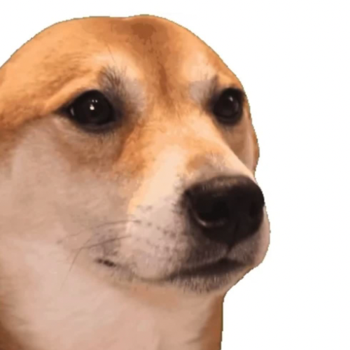 bopdog