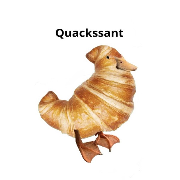 QUACKSSANT logo
