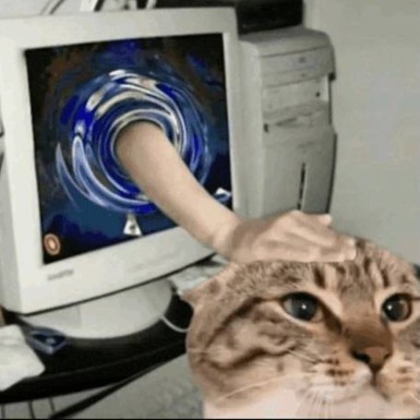 petcat