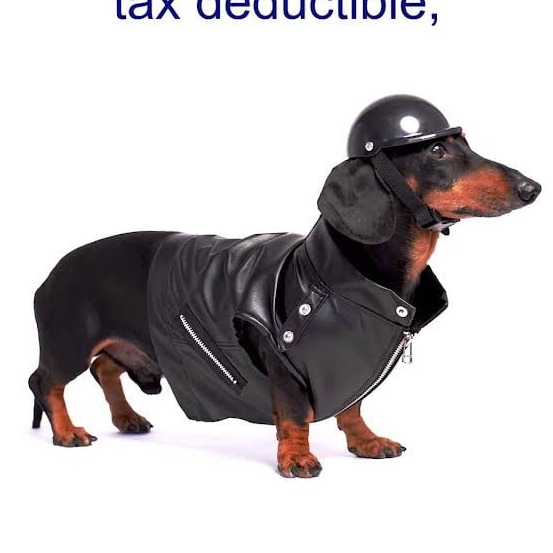 TAXDOG logo