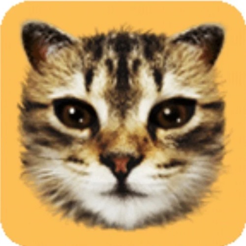#cat