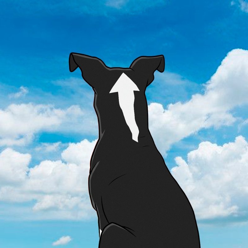 UPDOG