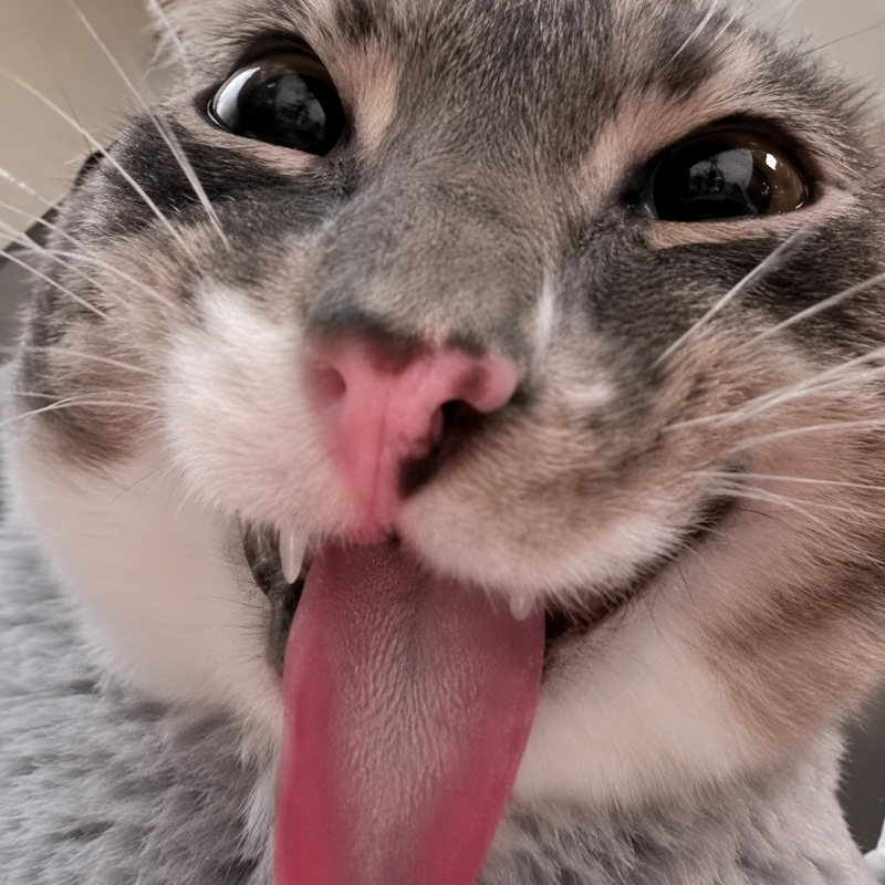 CASHBLEP