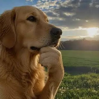 OPTIMISM
