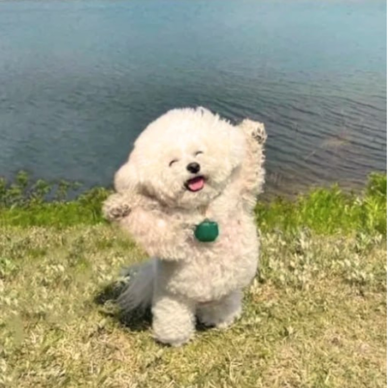 PUP