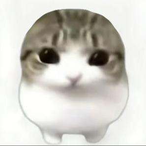 妙脆角猫