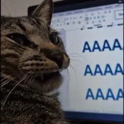 AAAAAAAAAA