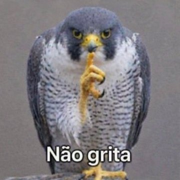 falcão