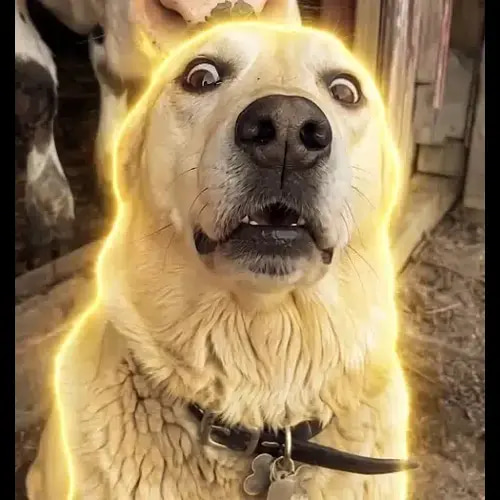 Scared