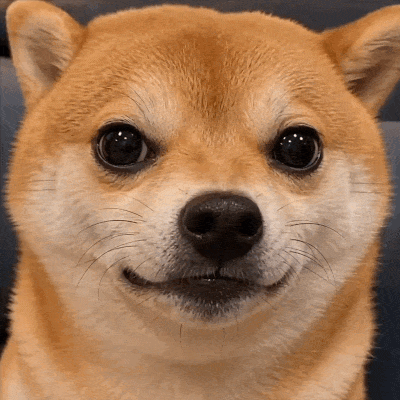 EVILSHIB
