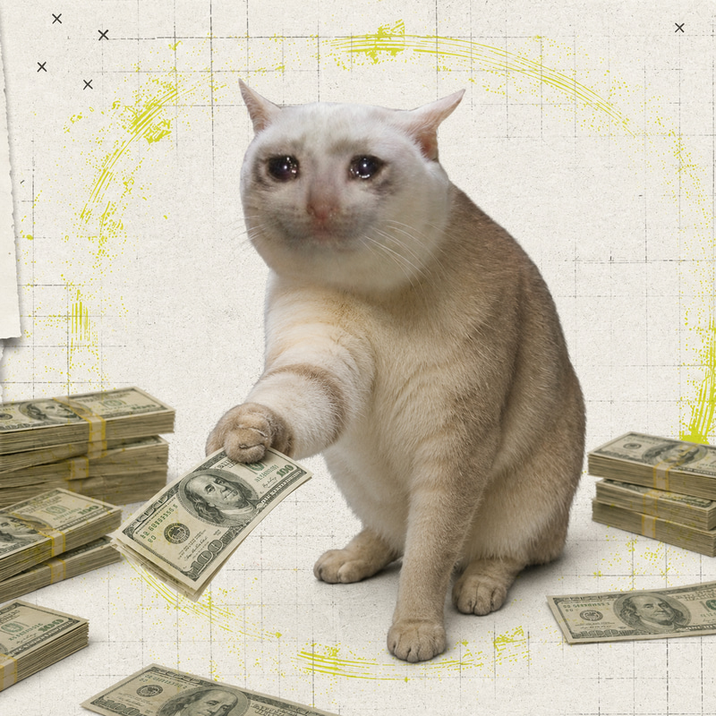 CatCash