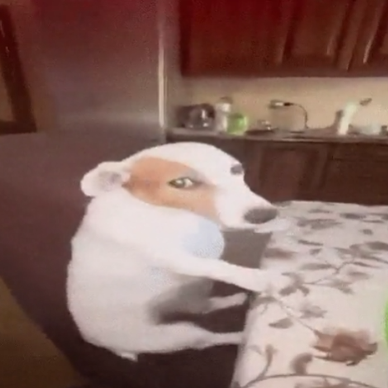 SideEye