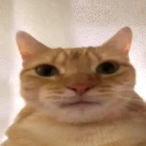 BaBẻm