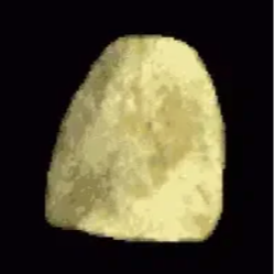 CHIP
