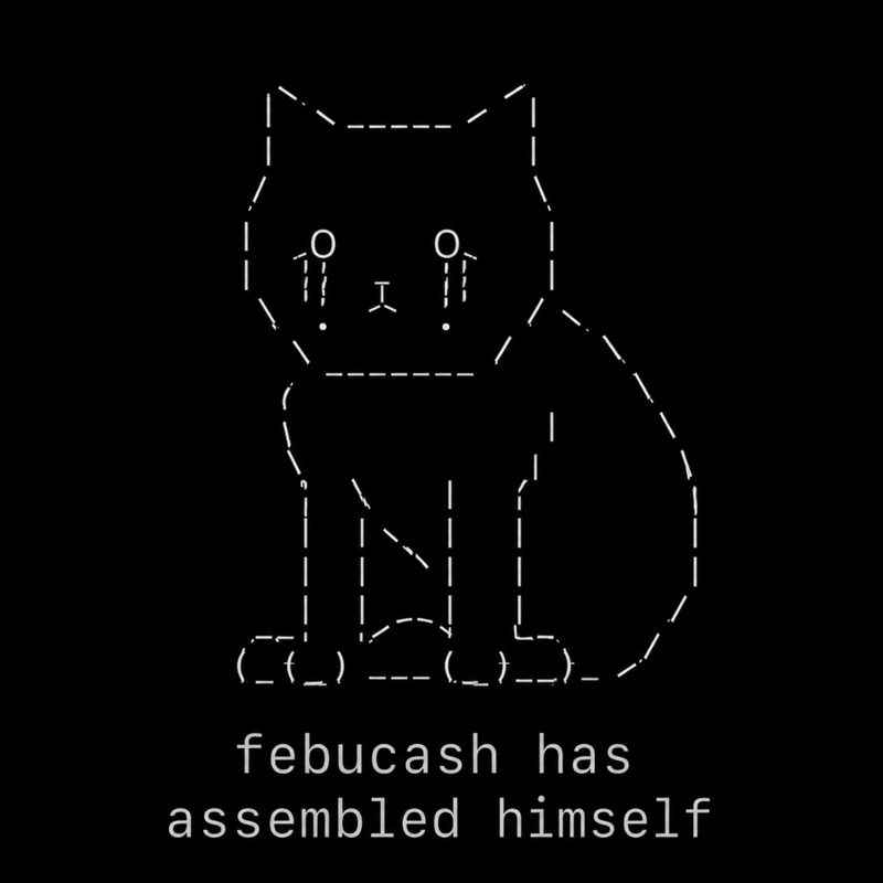 febcash 