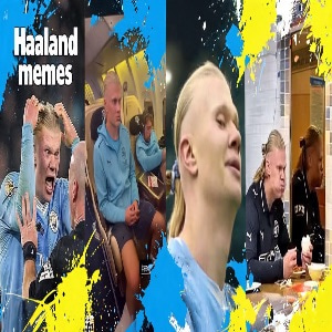 HAALAND logo