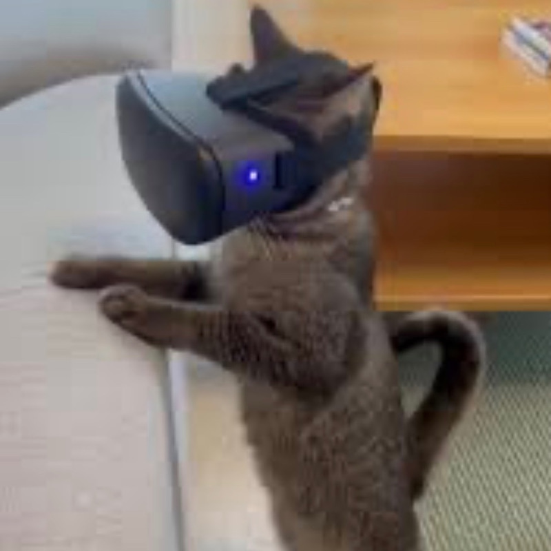 GOONCAT