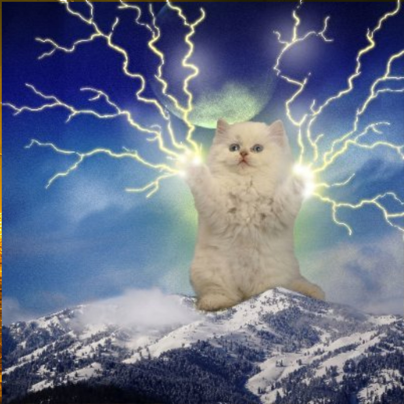 lasercat logo