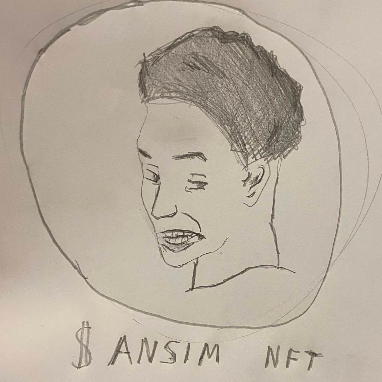 ANSIM logo