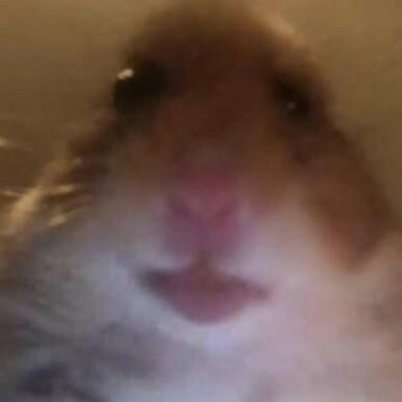 HAMI