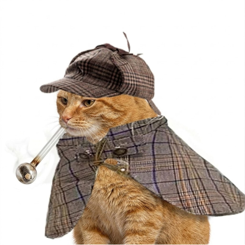 CRACKCAT