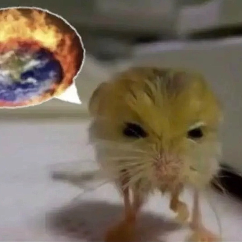 Jerboa logo