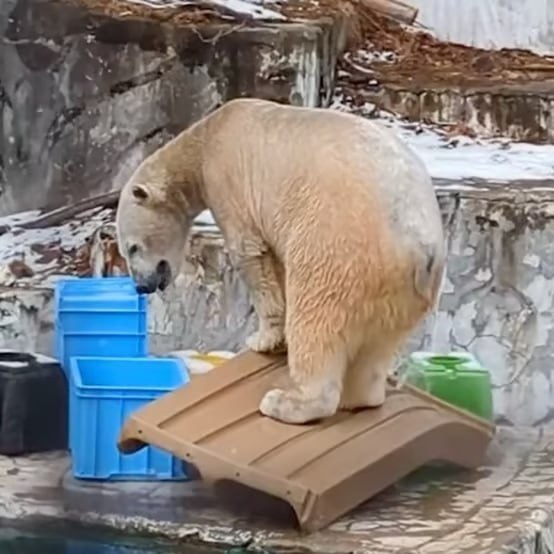 フブキ